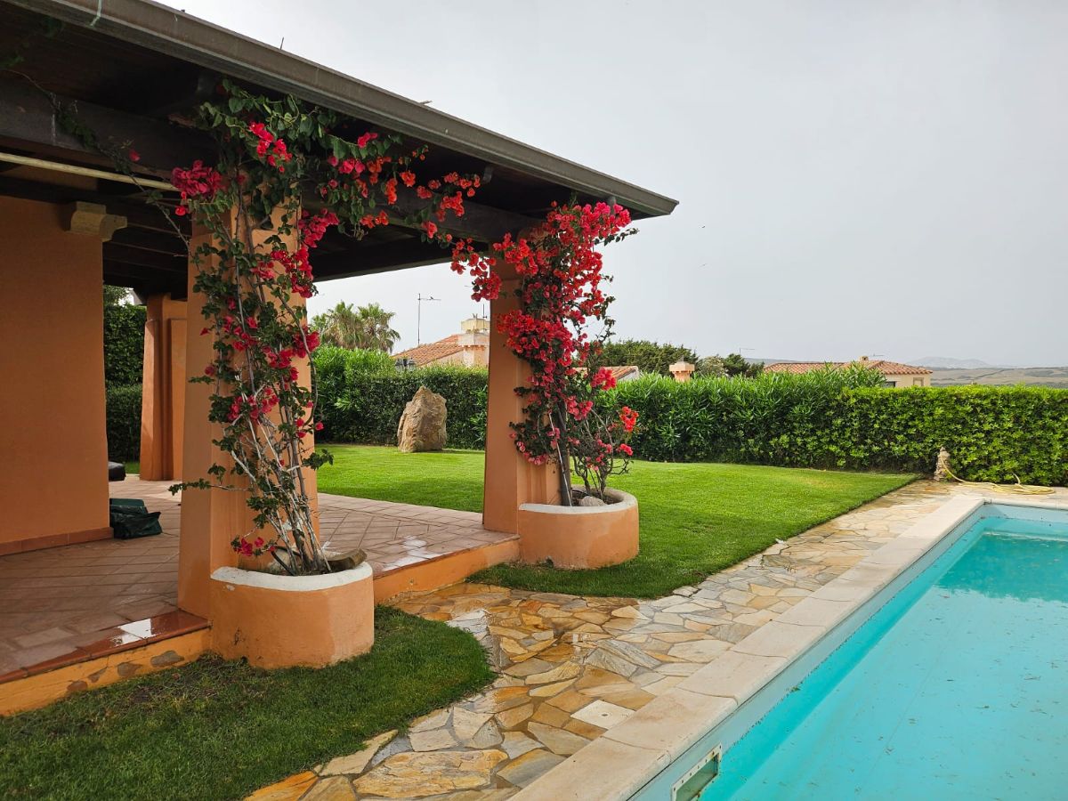 Pergolato con bouganville e piscina