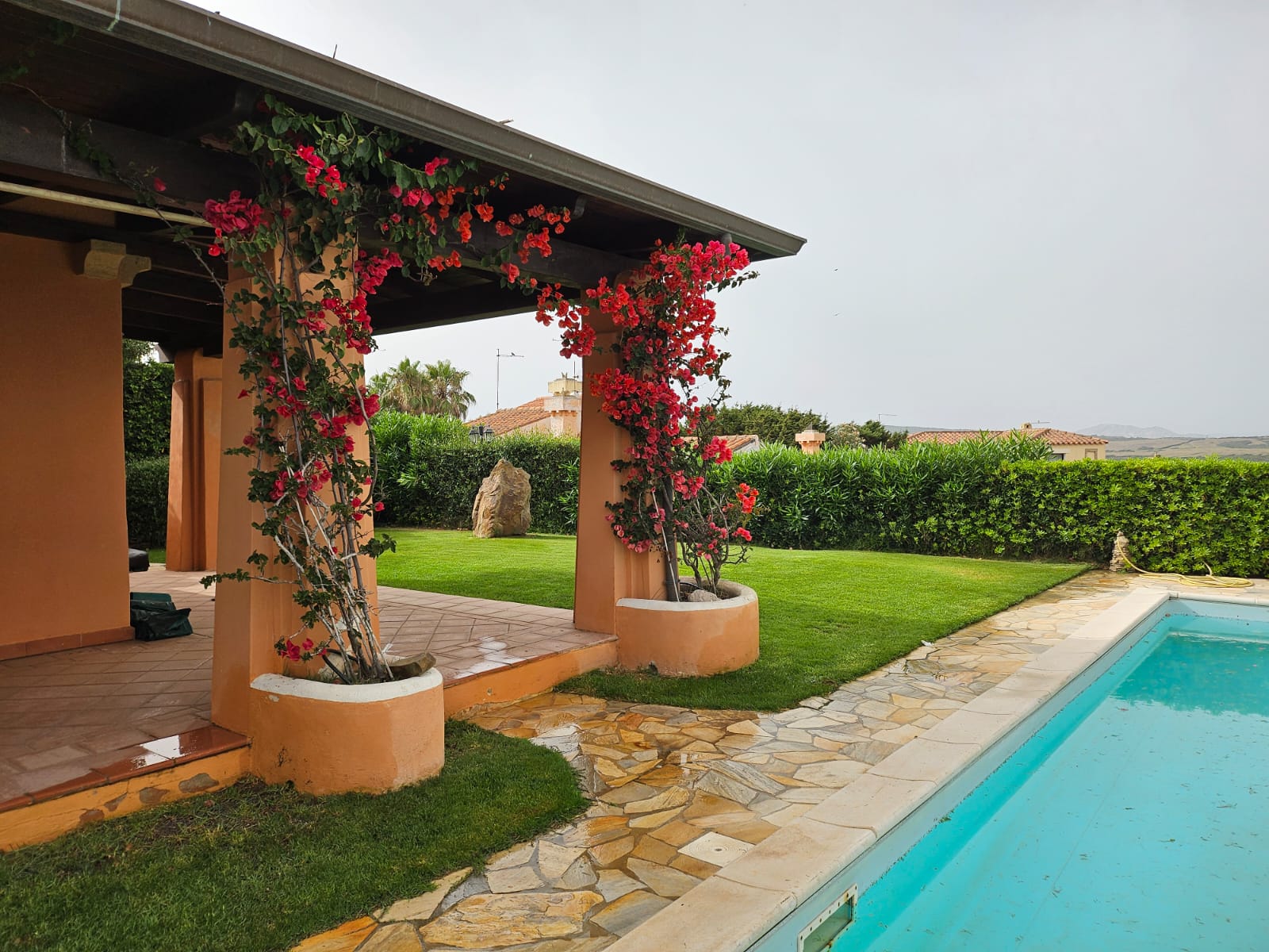 Pergolato con bouganville e piscina