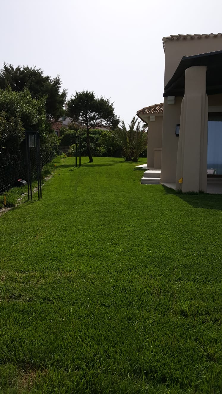 Piscina e siepe